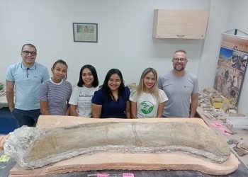 Paleontólogos no Pará colaboram