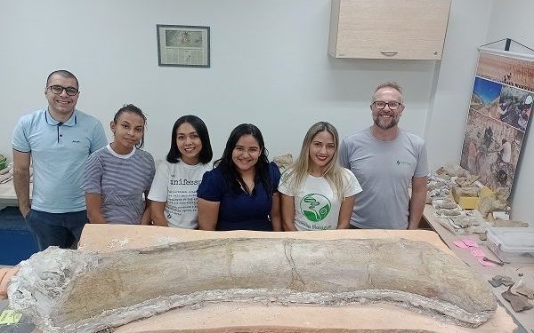 Paleontólogos no Pará colaboram