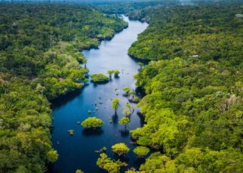 FGV promove webinar sobre Amazônia