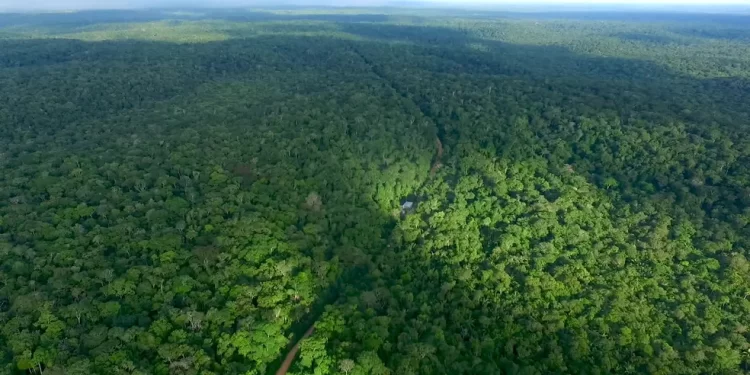 Seleção para mestrado do Inpa e UEA segue até dia 31 de janeiro