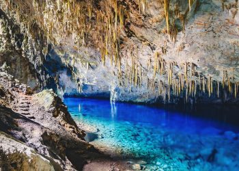 Sesc Amazonas promove