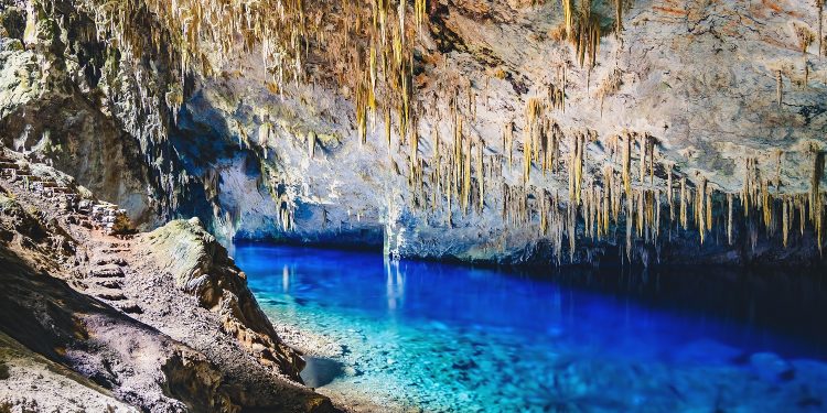 Sesc Amazonas promove