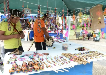 Selo Indígena do Brasil