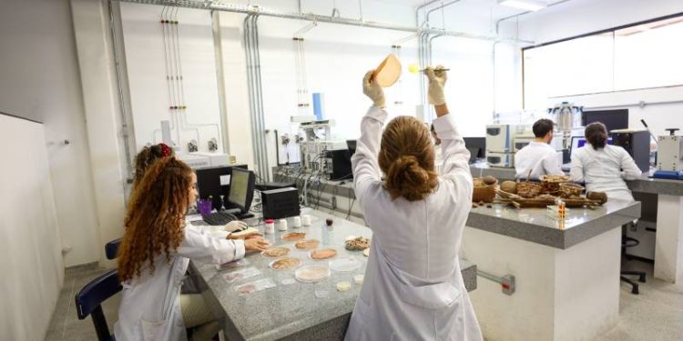 Laboratórios do PCT Guamá