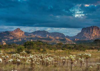 Termo busca conciliar atividade extrativista e conservação da natureza