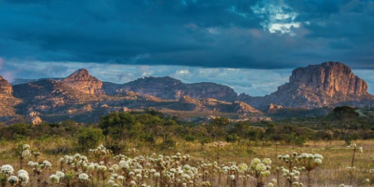 Termo busca conciliar atividade extrativista e conservação da natureza