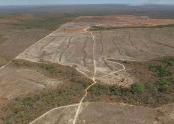 Comissão Nacional de Combate à Desertificação é retomada