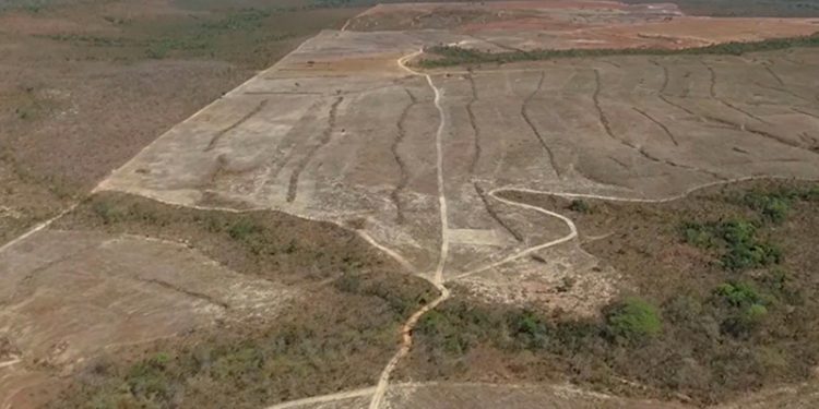 Comissão Nacional de Combate à Desertificação é retomada