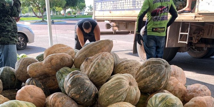 Programa de alimentação recebe investimento de R$ 230 mil no Amazonas
