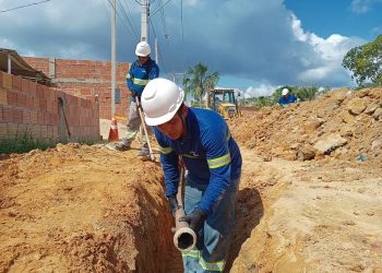 Manaus cresce em ritmo