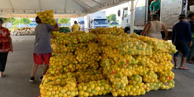 Iniciativa doa 40 mil quilos de alimentos em Manaus