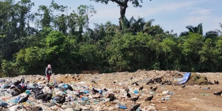 Geógrafo do IBAMA expõe lixão à céu aberto na cidade de Autazes