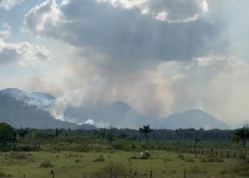 Vídeo mostra incêndio no município de Caracacaí em Roraima