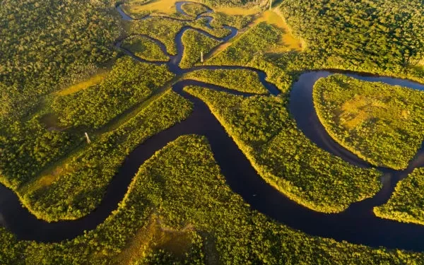 Especialista aposta na bioeconomia para desenvolvimento sustentável da Amazônia
