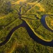 Especialista aposta na bioeconomia para desenvolvimento sustentável da Amazônia