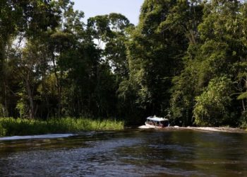 Primeiro curso de preservação ambiental começa em março