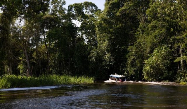 Primeiro curso de preservação ambiental começa em março
