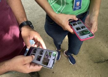 Novo aplicativo visa promover parques e espaços verdes em Belém