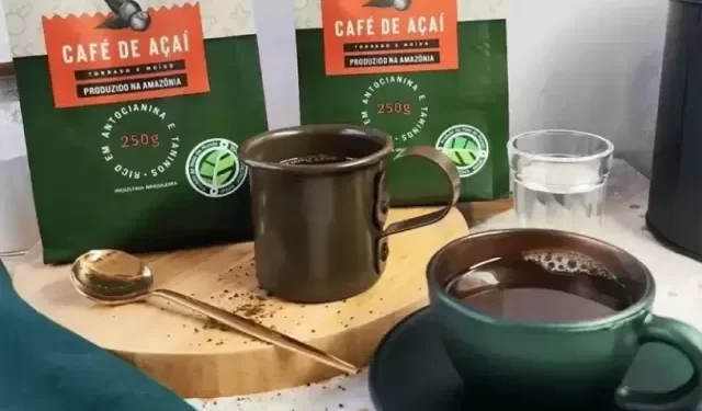 Startup Amapaense Startup Amapaense conquista consumidores