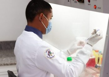 Farinha de babaçu pode ser alternativa para protetor solar, aponta pesquisa