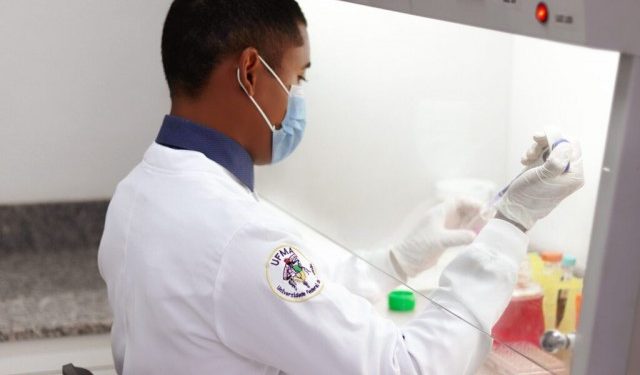 Farinha de babaçu pode ser alternativa para protetor solar, aponta pesquisa