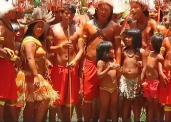 Antropólogos propõem envolver indígenas em debate sobre bioeconomia