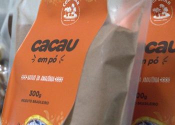 Projeto promove iniciativas para cultivação do cacau na Amazônia