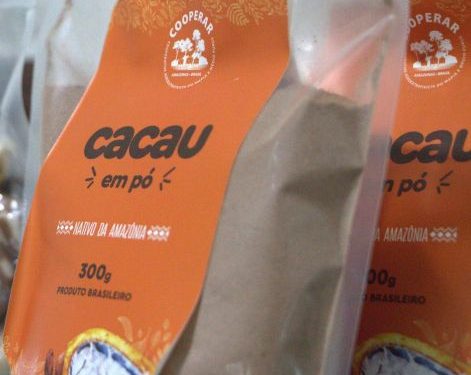 Projeto promove iniciativas para cultivação do cacau na Amazônia