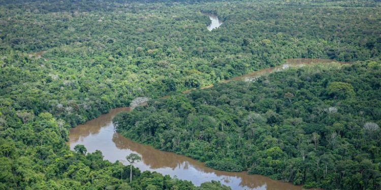 Primeiro curso de preservação ambiental começa em março