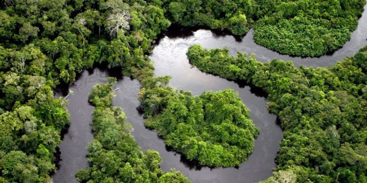 Pesquisadores se unem para explorar a diversidade amazônica