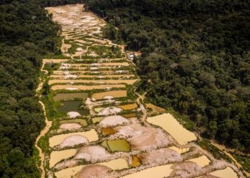 Fiocruz alerta para níveis altos de mercúrio em comunidade indígena