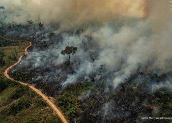 Roraima concentra 22% dos focos de queimada do Brasil