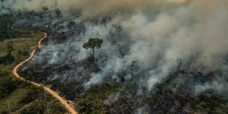 Roraima concentra 22% dos focos de queimada do Brasil