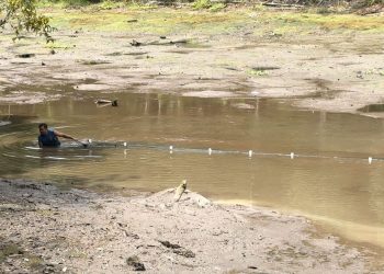 Feirão do pescado estima movimentar a economia local