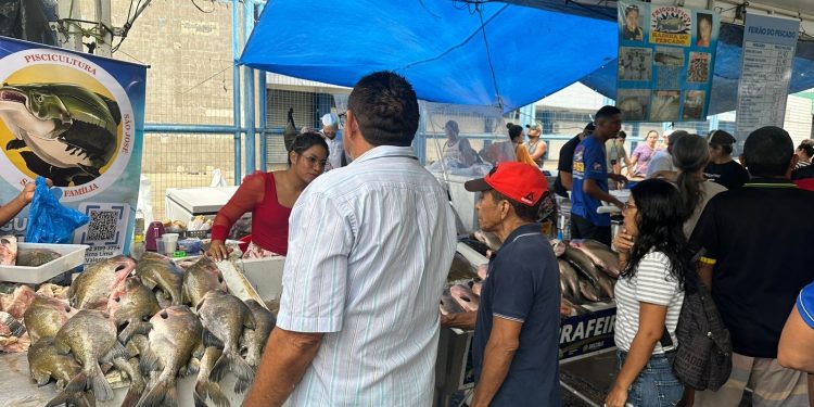 Feirão do Pescado 2024 comercializou 117 toneladas de peixes