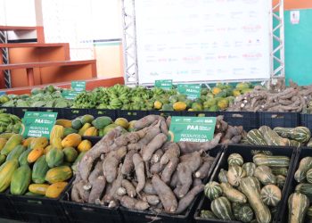 Comércio e agronegócio de Rio Preto da Eva recebem mais de R$ 1,3 milhão em investimentos