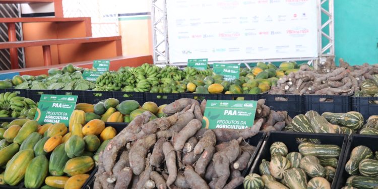 Comércio e agronegócio de Rio Preto da Eva recebem mais de R$ 1,3 milhão em investimentos