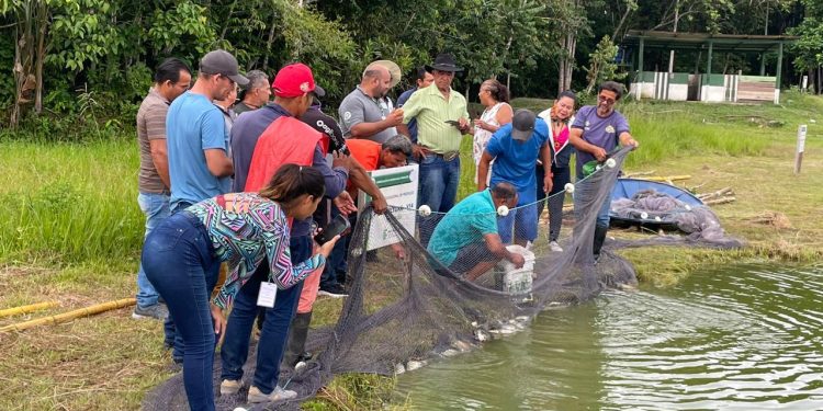 Aquicultores de Tabatinga recebem capacitação do Idam e Ifam