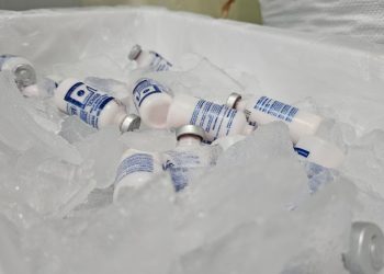 Vacinas contra aftosa são enviadas a municípios do Amazonas