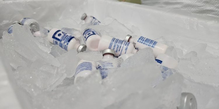 Vacinas contra aftosa são enviadas a municípios do Amazonas