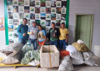 Logística de 3,3 toneladas de alimentos comercializados pelo PAA em Nova Olinda do Norte
