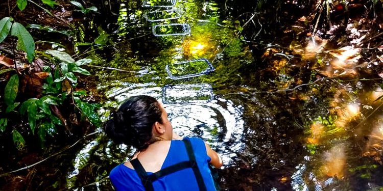 Pesquisa avalia qualidade de ambientes aquáticos da Amazônia