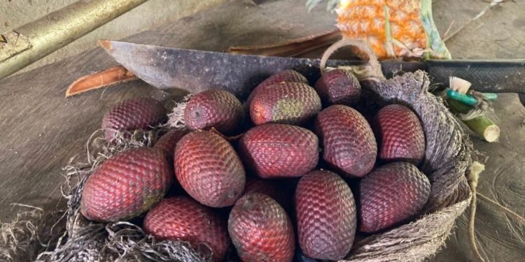 Frutas Amazônicas são aliadas contra a desnutrição