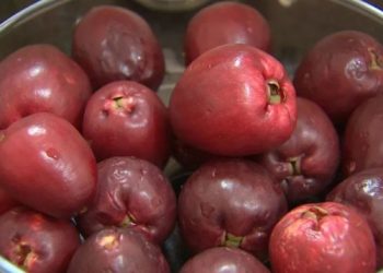 Descubra benefícios do jambo para saúde