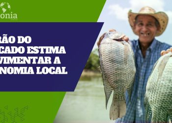 Feirão do Pescado 2024