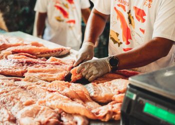 Venda de pirarucu gera mais de R$ 116 mil em faturamento para ribeirinhos da Amazônia