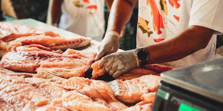 Venda de pirarucu gera mais de R$ 116 mil em faturamento para ribeirinhos da Amazônia