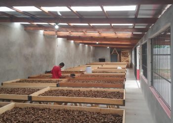 Conselho nacional renova compromisso com Direitos Indígenas