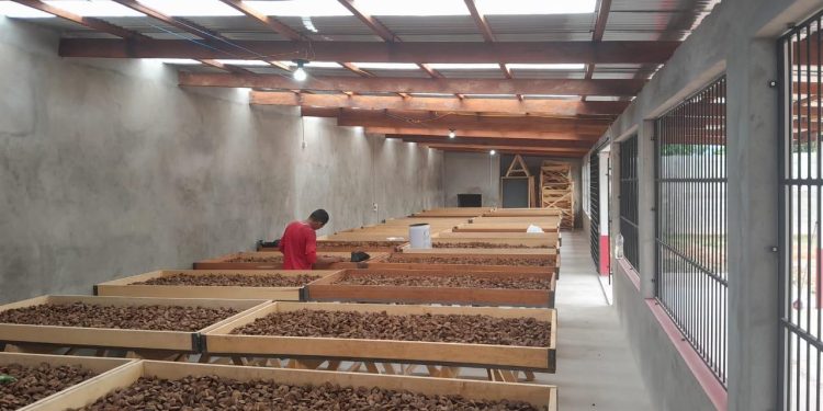 Conselho nacional renova compromisso com Direitos Indígenas