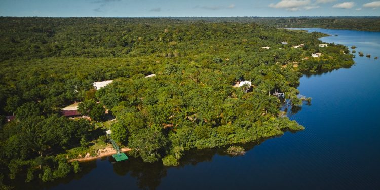Utilização inteligente de dados impulsiona desenvolvimento sustentável na Amazônia